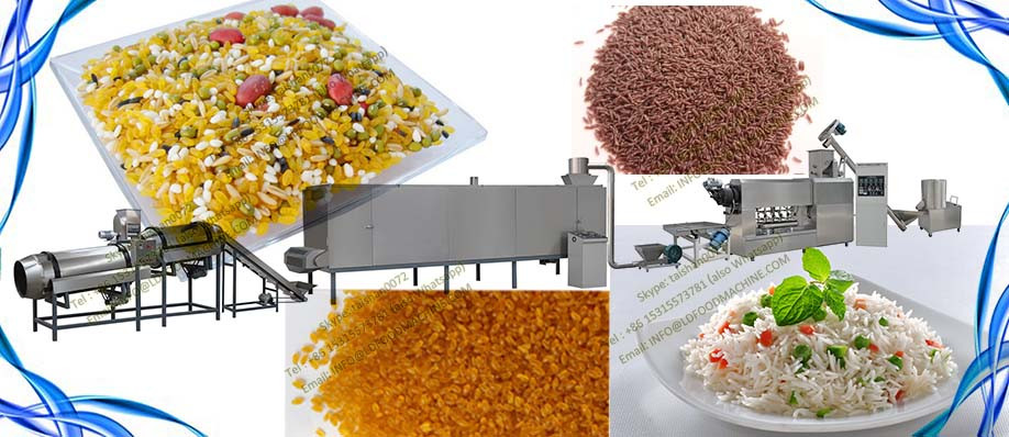 China Hot Selling Automatic Twin Screw Nutritious Rice Extruder