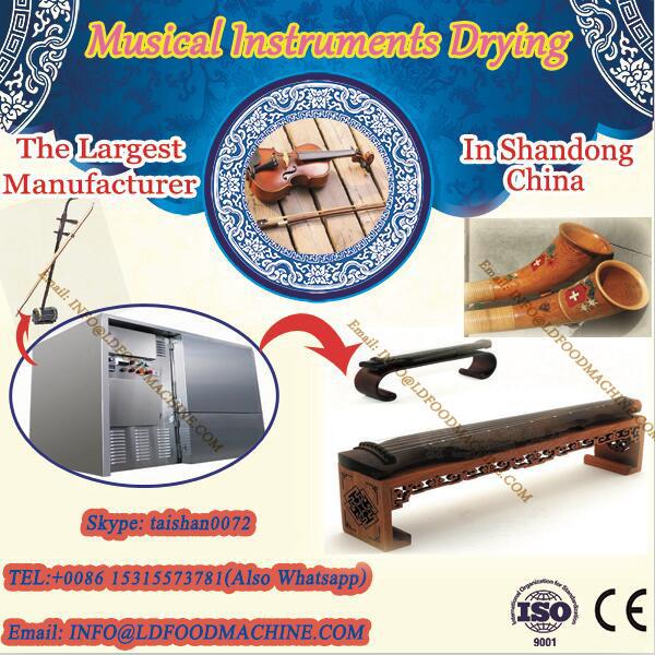 microwave continus tunnel drying equipment/machinery musical equipment dryer #1 image