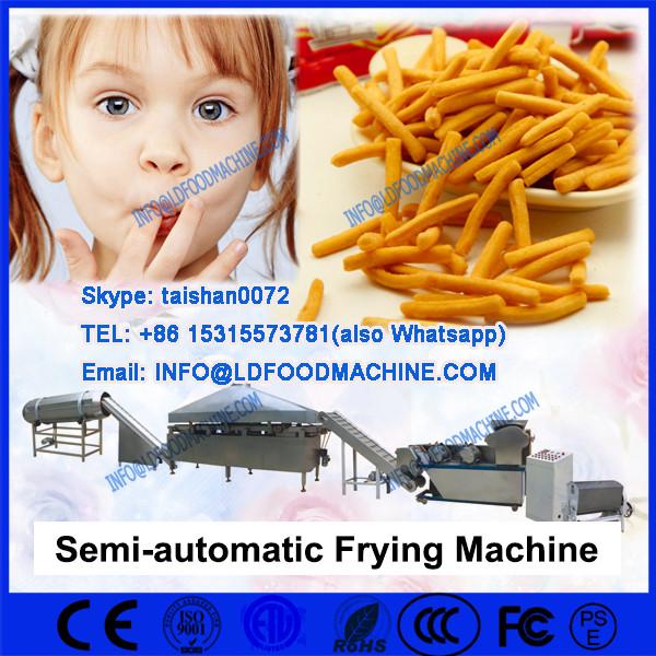 100Kg/h paintn Chips Frying machinery #1 image
