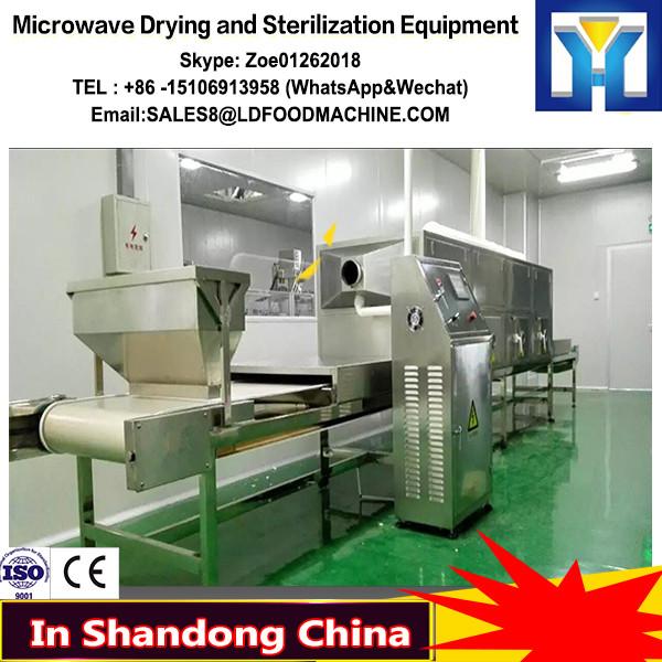 Microwave Mulberry leaves tea Drying and Sterilization Equipment #1 image